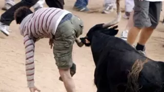 직장이 어디에요