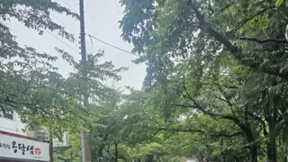(사진 多) 통영 상황