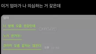이거 엄마가 나 의심하는 거 같은데.jpg