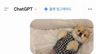 울집 강아지가 다크면 어떤 모습일까