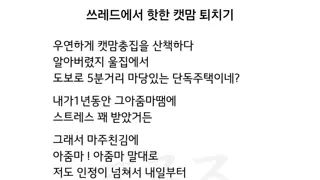 캣맘을 퇴치한 사람