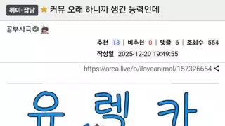 커뮤 오래하면 생기는 능력