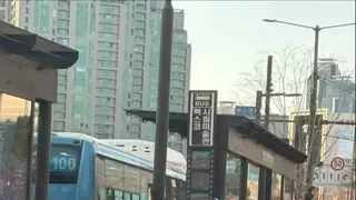 부산에 처음 간 초보운전
