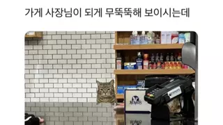 가게 사장님이 되게 무뚝뚝해보이시는데.jpg