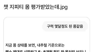 챗 GPT한테 몸 평가 받았는데.jpg