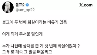 2번째 화살이라는 비유