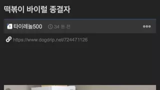 떡볶이 바이럴 종결자