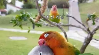 비싼 돈 들여 하이엔드급 PC 맞출 필요 없는 이유