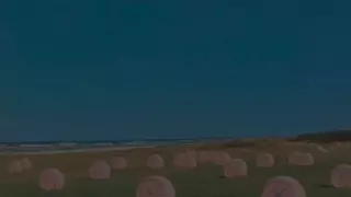 꿈인걸 알았을때