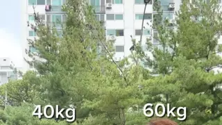 여자 40kg VS 60kg