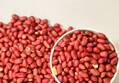 볶은 레드땅콩, 500g, 3봉