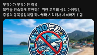 부캉이보고 종북몰이 중인 꼴통 우파