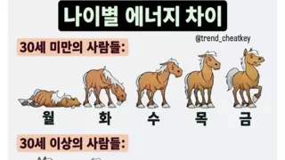 나이별 에너지 차이