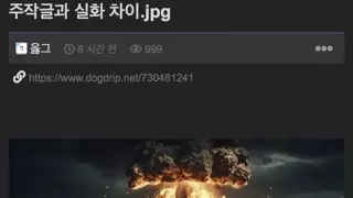 주작글과 실화차이