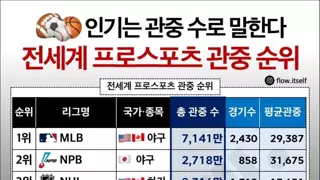 전세계 프로스포츠 관중 순위