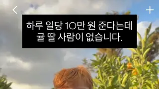 감귤 따는 인부가 구해지지 않는 이유
